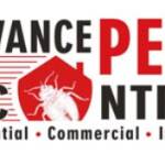 Advance Pest Control Profile Picture