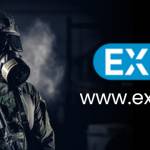 Exppe Profile Picture
