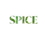 Spice Charlotte Charlotte Profile Picture