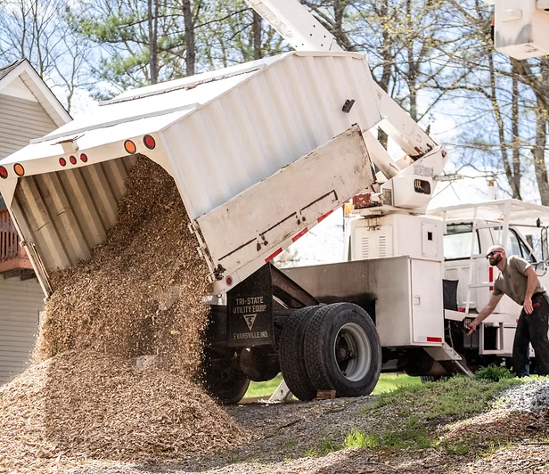 Efficient Land Clearing Services for Property Preparation