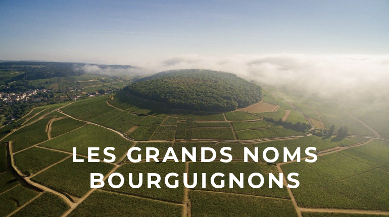 Discover the Elegance of Corton Grand Cru Wines