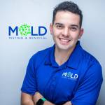 moldtesting miamifl Profile Picture