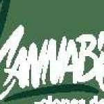 Cannabis Clones Profile Picture