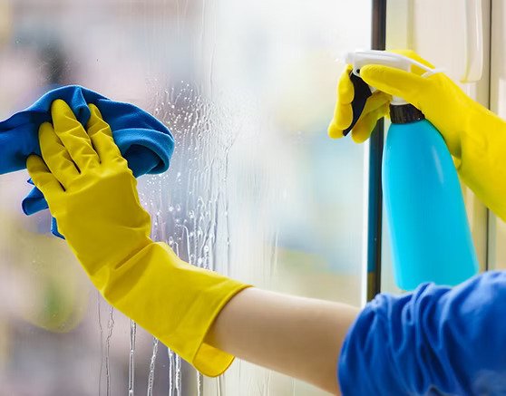 Clearer Windows, Brighter Workdays: Best Interior Window Cleaning in Lincoln