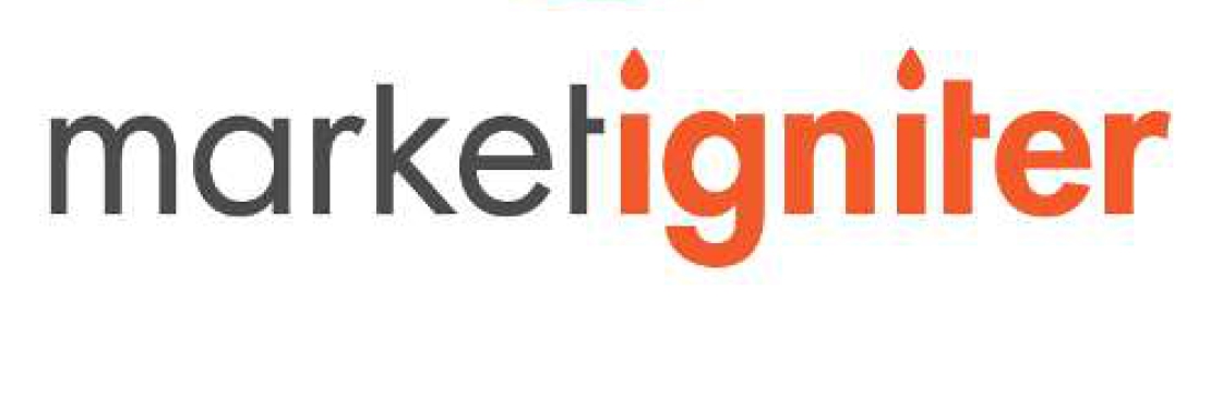 Market Igniter Cover Image