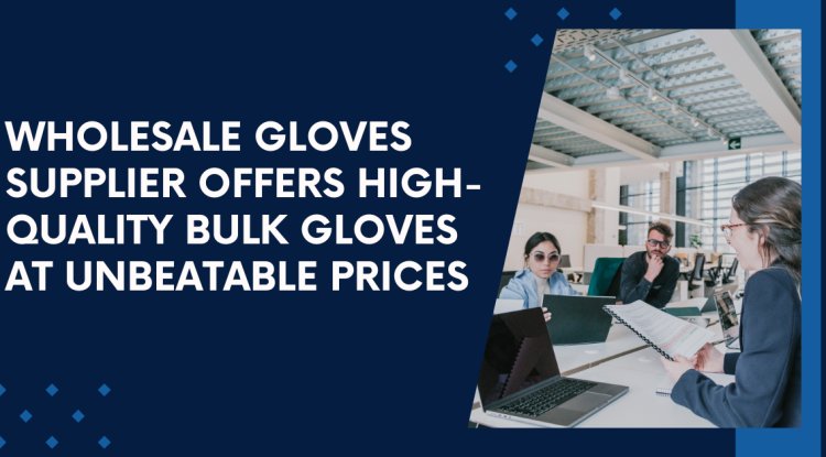 Wholesale Gloves Supplier | Bulk Disposable & Work Gloves at Best Prices - Last Trump News