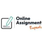 Online Assignment Expert Profile Picture