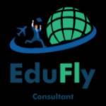 Edufly consultant Profile Picture