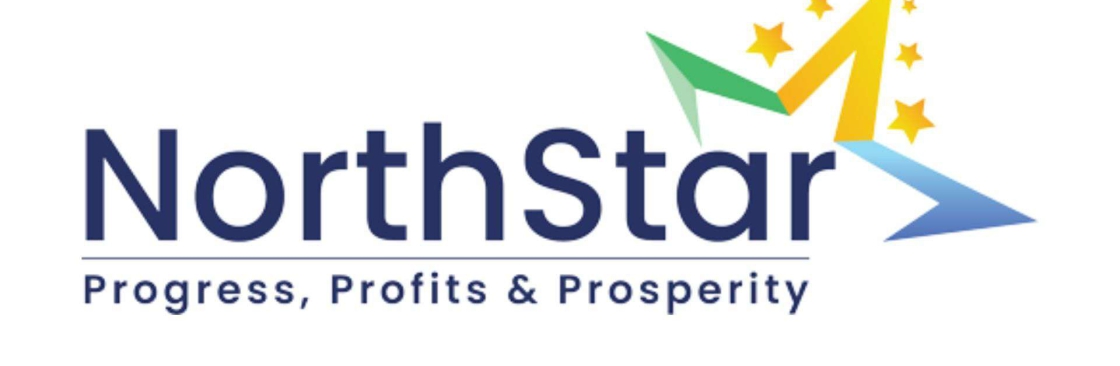 North Star Global Cover Image