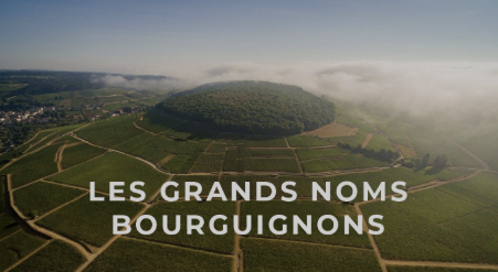 Bourgogne Aligoté 2020 : Une Gorgée Croquante du Vrai Caractère de la Région  -