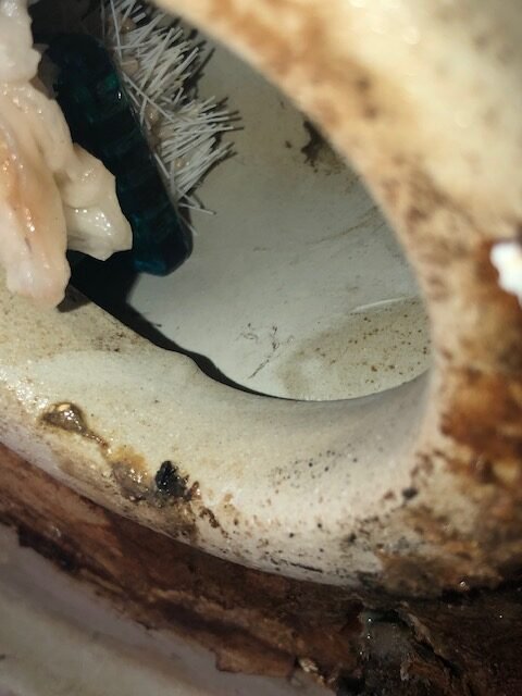 Clogged Drainage Service St Catharines