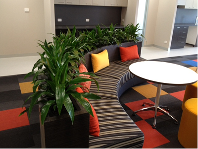 Enhance Your Workspace with Office Plant Hire Melbourne