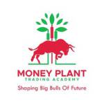 Money Plant Trading Academy Profile Picture