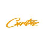 Corteiz Mode Profile Picture