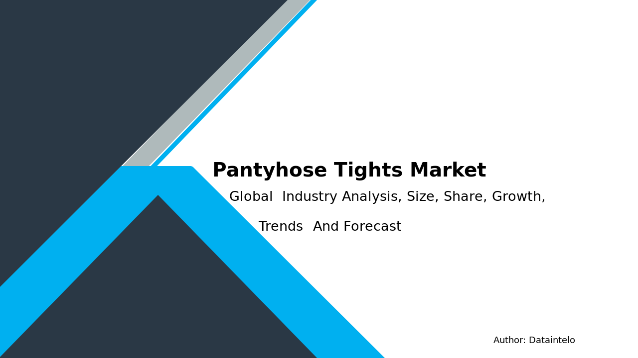Pantyhose Tights Market Report | Global Forecast From 2025 To 2033