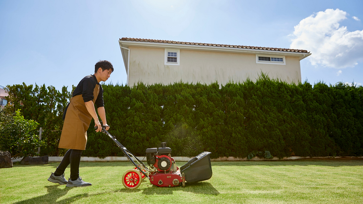 Your Local Help for a Neat Garden: Lawn Mowing Ryde | by Dad Mows Best | Jun, 2025 | Medium