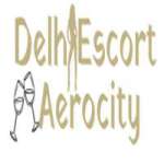 Delhi Escort Aerocity Profile Picture