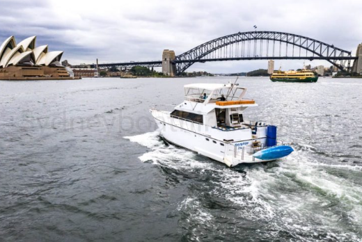 Boat Hire Diamond Bay: Safe and Comfortable for All Ages - Kinked Press