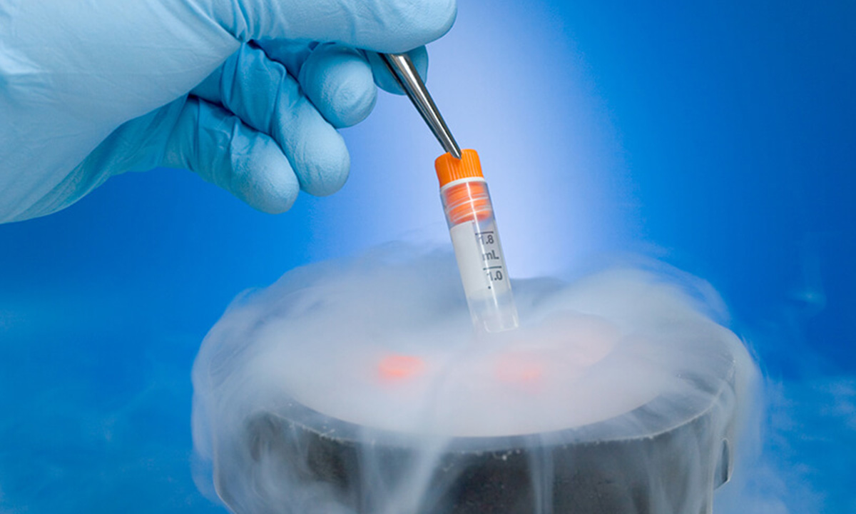 What Is the Best Age for IVF Treatment? - Dr Sabia Mangat
