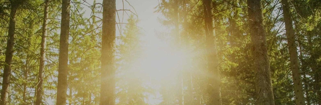 SoCal DBT Cover Image