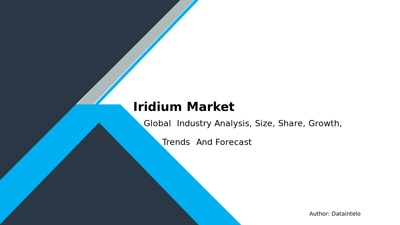 Iridium Market Report | Global Forecast From 2025 To 2033
