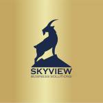 Skyview Business Solutions Profile Picture