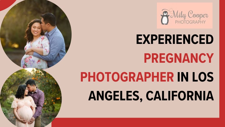 PPT - Experienced Pregnancy Photographer in Los Angeles, California