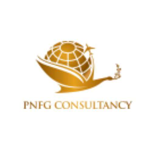 PNFG CONSULTANCY Profile Picture