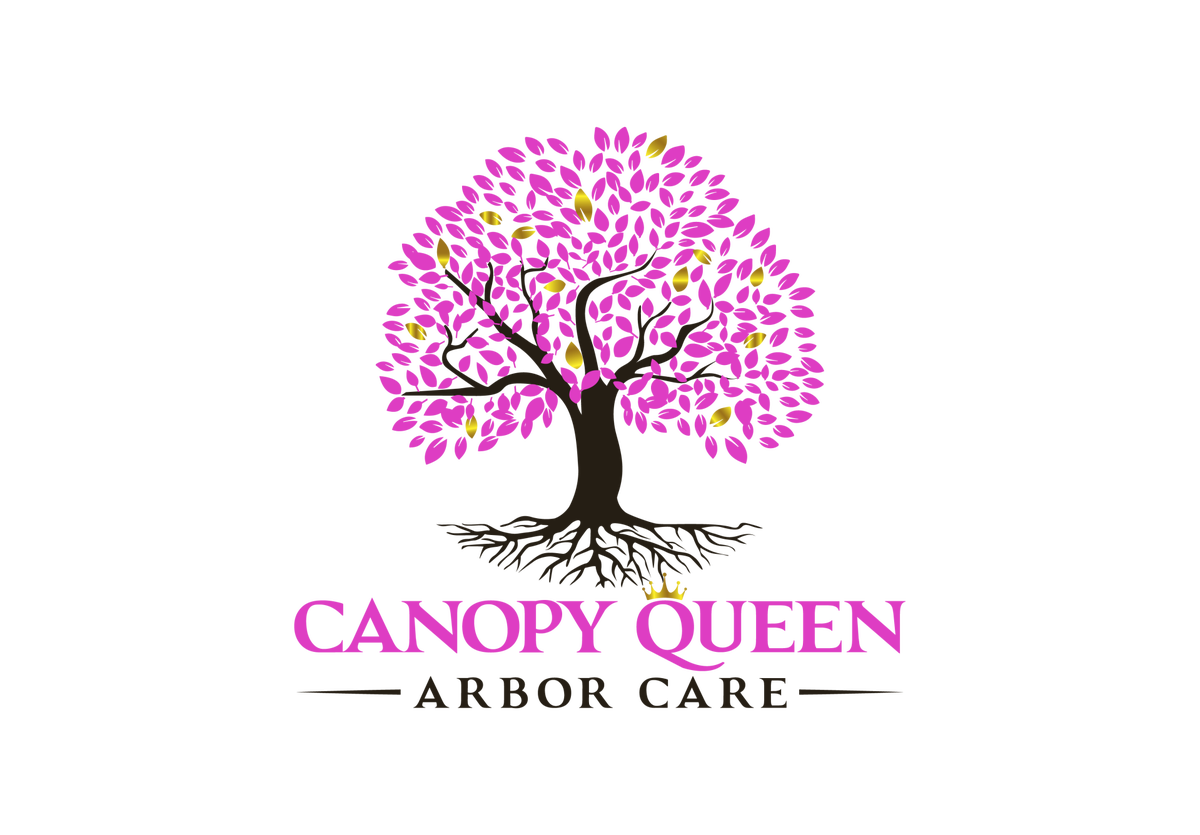 Canopy Queen Arbor Care - Tree Service