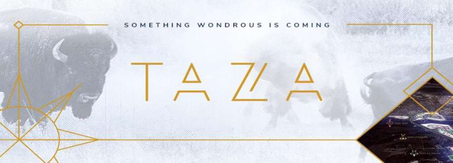 Taza Development Cover Image