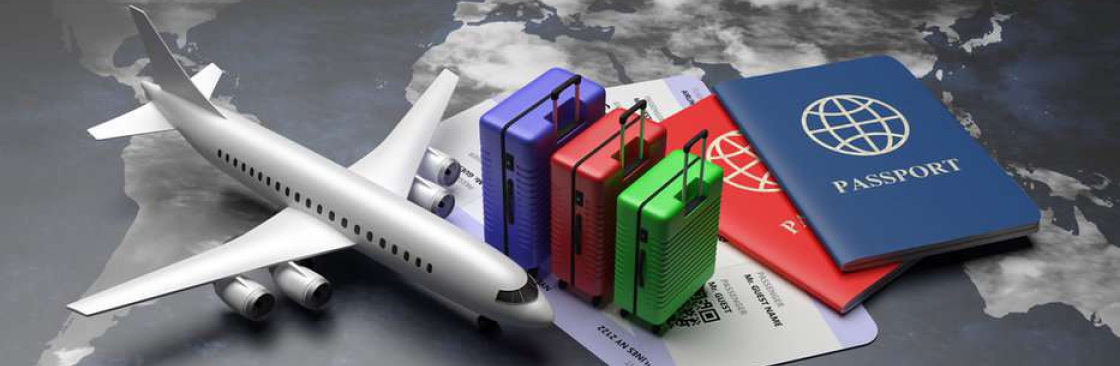 The FlightsHub New Zealand Cover Image