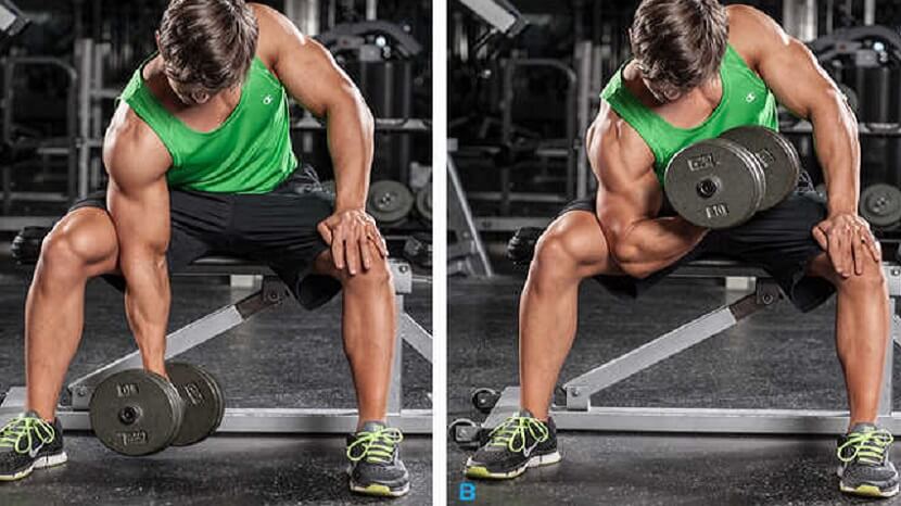 Concentration Curl - Isolate and Build Your Biceps 2024