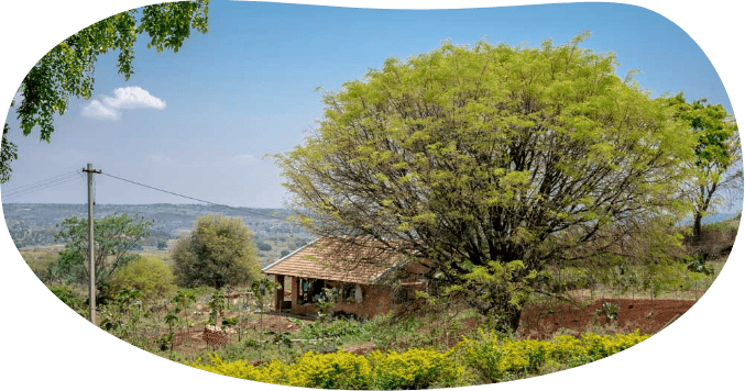 Eco Friendly, Sustainable Homes in Bangalore & Gurgaon