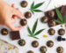 Indica - Online Cannabis Dispensary in United States | Monster of Terps