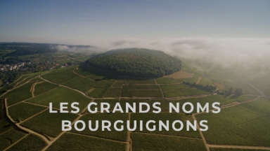 Achetez du vin à Dijon – Vins authentiques de Bourgogne