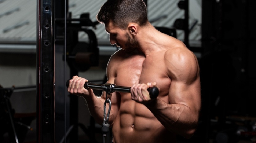 Effective Cable Curl Guide - Build Strong, Defined Biceps 2024