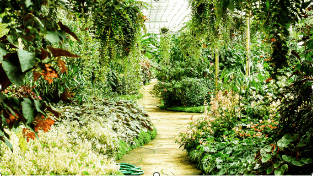 Bring New Life to Your Outdoor Area with a Garden Makeover in Sydney - guest-post.org