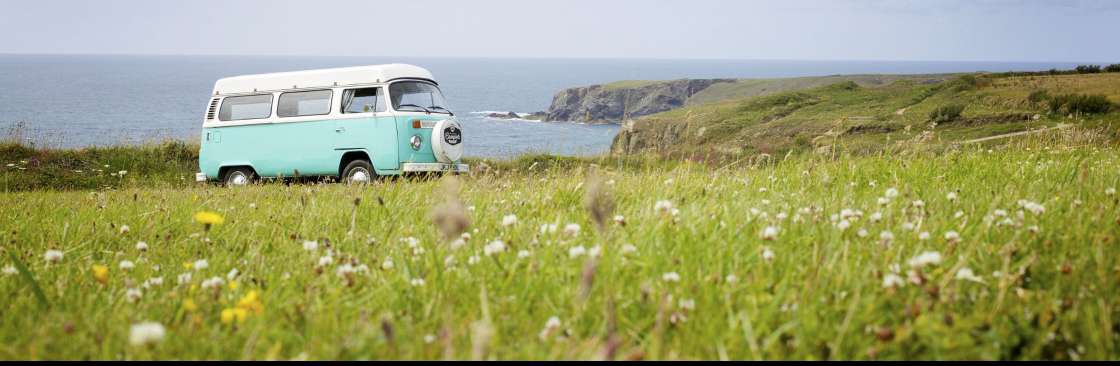 The Wild Terrain Cover Image