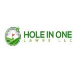 holeinonelawnsllc Profile Picture