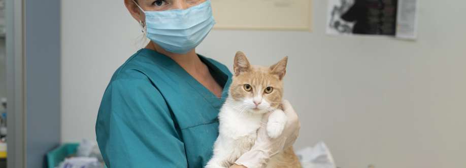 Silverado Veterinary Hospital Cover Image