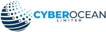 Backup Solutions - CyberOcean | Cloud Hosting, IT Support, Cybersecurity & Custom Software Solutions