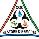 Rapid Reconstruction Team Profile Picture