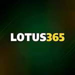 lotus365club Profile Picture