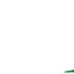 Shaheen Movers Profile Picture