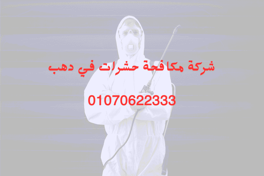 شركة مكافحة حشرات في دهب 01070622333