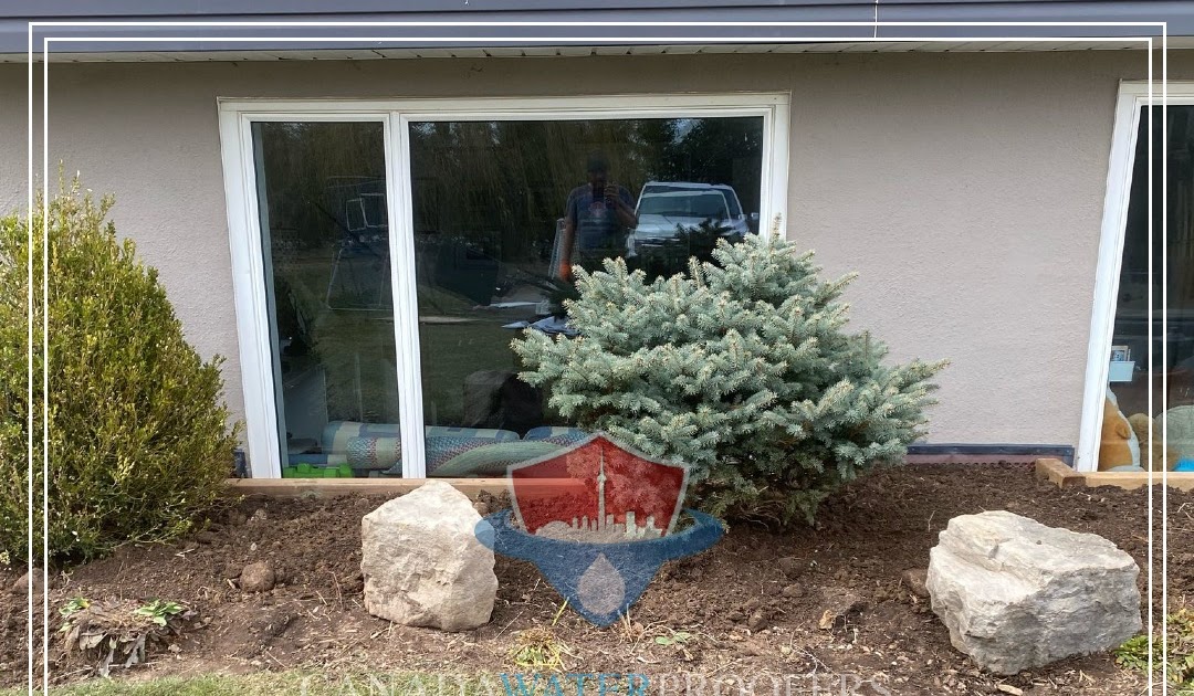 Why Fixing a Leaky Basement is Worth Every Penny