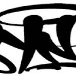 syna synaworld0 Profile Picture