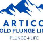 articopl ungeliner Profile Picture