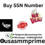 Buy SSN Number Profile Picture