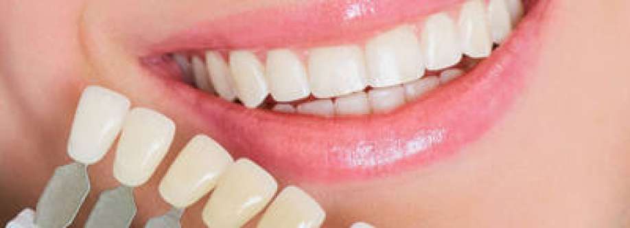 Vincent Mcclane Cover Image